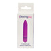 Loving Joy 10 Function Purple Bullet Vibrator Loving Joy