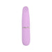 Nauti Petites 10 Speed Bullet Vibrator