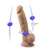 SilexD 7 inch Realistic Silicone Dual Density Dildo with Suction Cup and balls SilexD