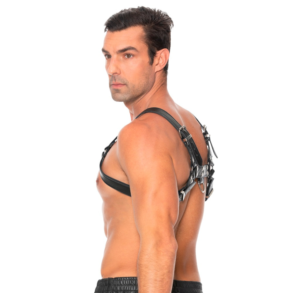 Bulldog Leather Chest Harness - L/XL Shots Toys